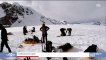 Insolite : A cause du réchauffement climatique, l'Alaska est menacé par la fonte des excréments laissés par les randonneurs ! Vidéo