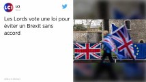 Royaume-Uni. La Chambre des Lords vote une loi pour éviter un Brexit sans accord