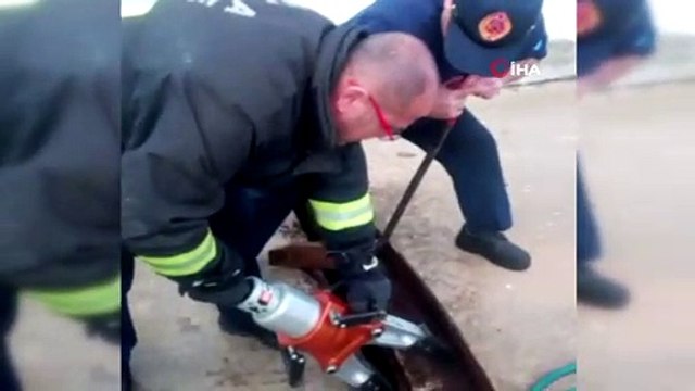 Demir mazgala sıkışan yavru kedi itfaiye ekipleri tarafından kurtarıldı