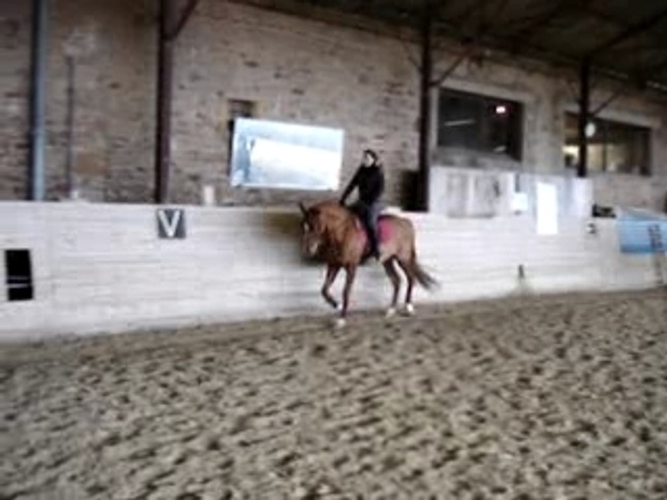 Trot 2
