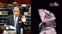 Isteri VVIP tidak beli berlian merah jambu - Timb menteri