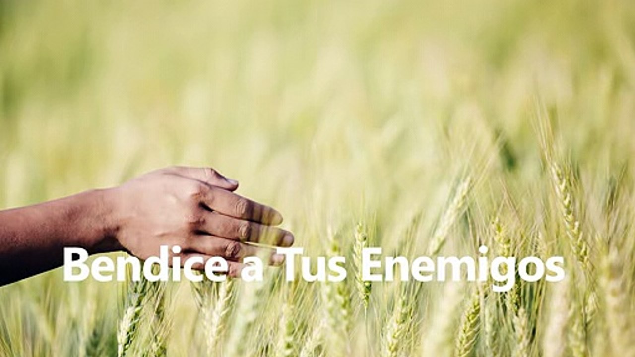 Bendice a Tus Enemigos - K