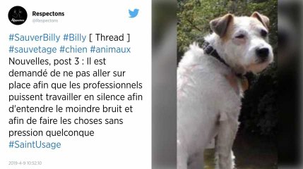 Download Video: Faut-il sauver Billy, le chien coincé dans une canalisation, ou est-ce trop dangereux ?