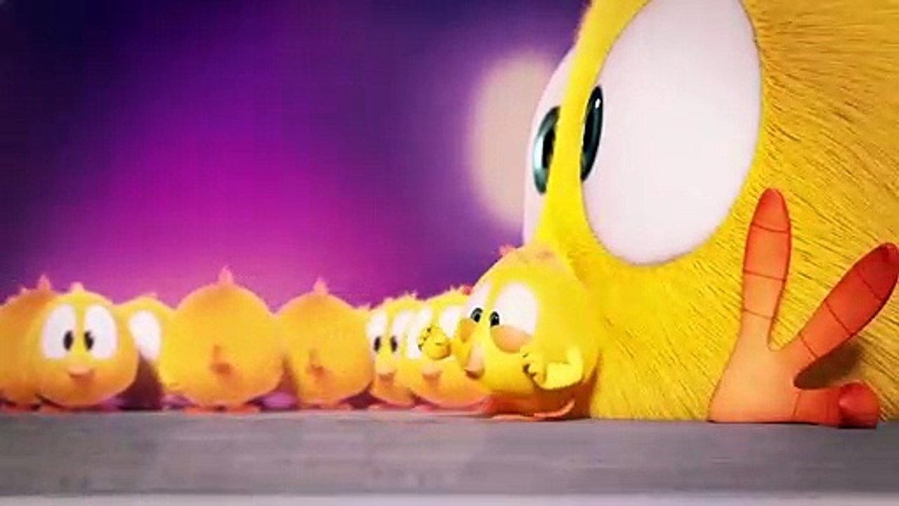 Where is Chicky ? Funny Chicky #454 | Chicky Français Dessin Animé Pour Enfant 2018