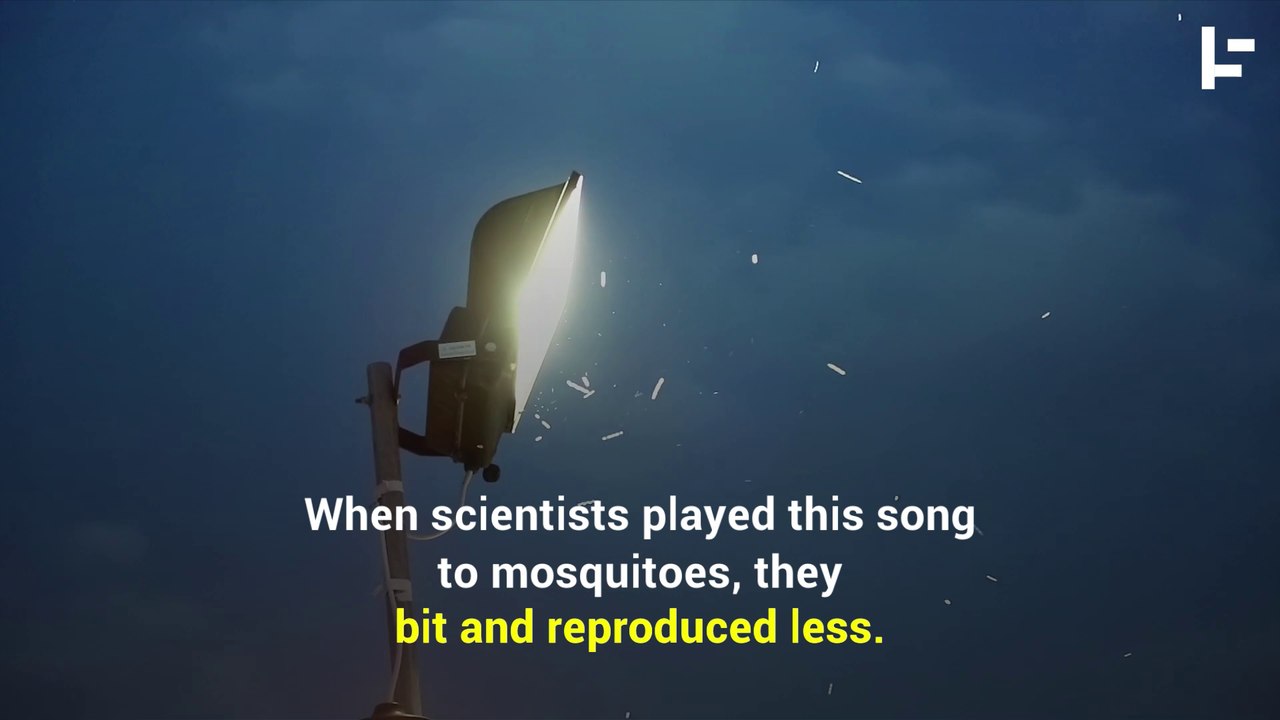 Can Science Control Mosquitoes With Dubstep Music?