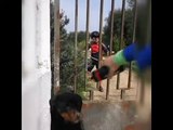 Puglia: ciclisti salvano cane incastrato in un cancello