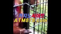 ♬ 아시안카지노게임사이트〔ＳＨＳ６７６。C0M〕라이브바카라주소생방송카지노게임 ▥수를 상대로▥