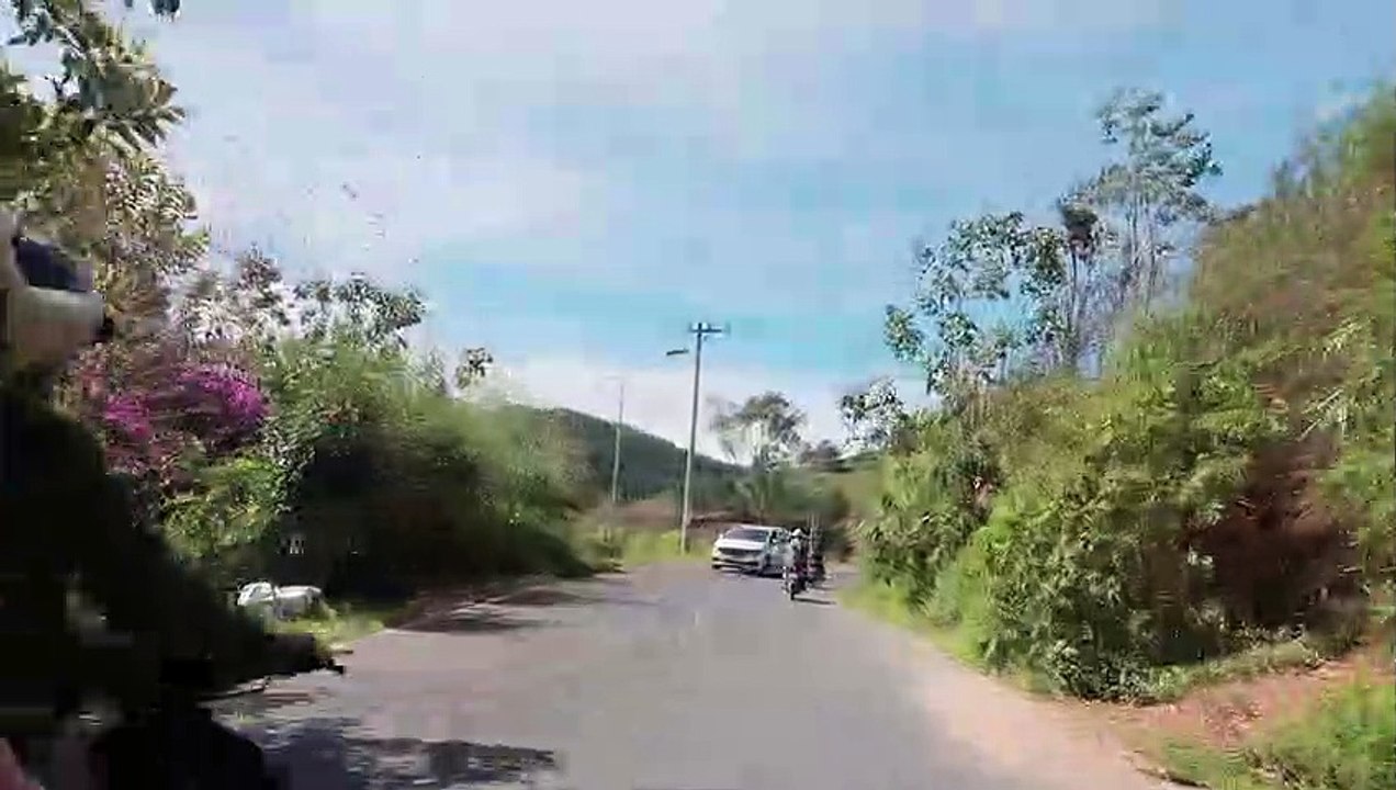 Kinh Nghiệm Du lịch Đà Lạt - Khu Du Lịch Lavender Đà Lạt