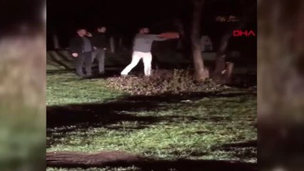 Bolu Piknikte Ağacı Kesip Yaktılar