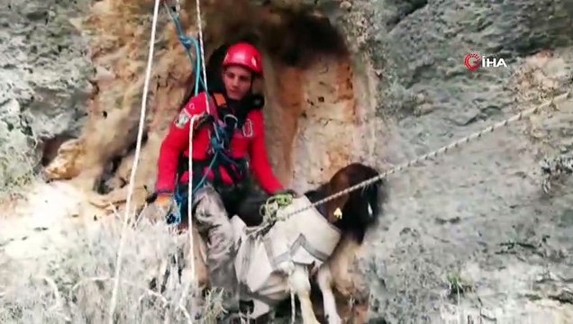 Yamaçta mahsur kalan keçiler 5 saat süren operasyonla kurtarıldı