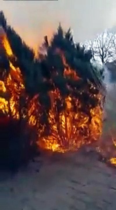 Cet homme voulait juste  brûler un petit arbuste mais a failli mettre le feu à sa maison
