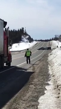 Quand la SQ te court après mais que t'as trop joué à Grand theft auto (GTA) pis que tu veux ta 5eme étoile...