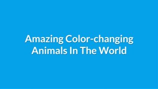 Amazing Color-changing Animals In The World