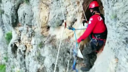Yamaçta keçi kurtarma operasyonu - MERSİN