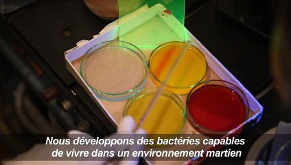 La Géorgie veut faire pousser des vignes sur Mars