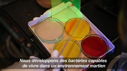 La Géorgie veut faire pousser des vignes sur Mars