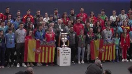 La Fundación Trinidad Alfonso quiere estar en Tokyo 2020 con el Proyecto FER