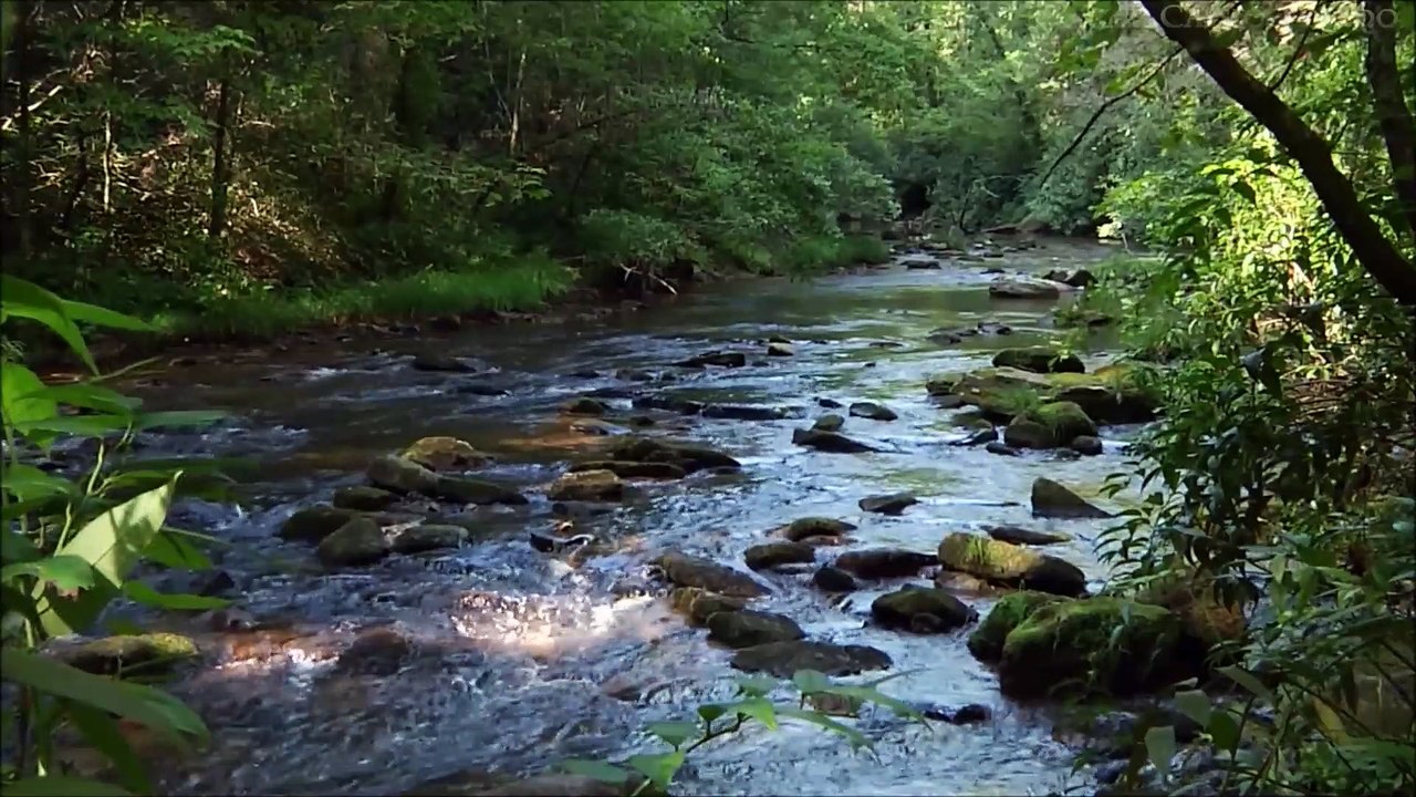 Relaxing celtic music