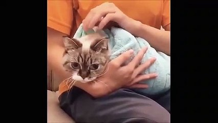 Best Laughter Videos.  IF YOU LAUGH YOU LEVEL GOD.