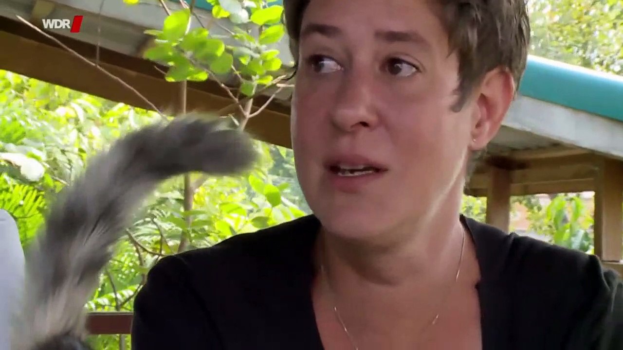 Aussteiger, Auswanderer - und die Schattenseiten | Dokumentarfilm