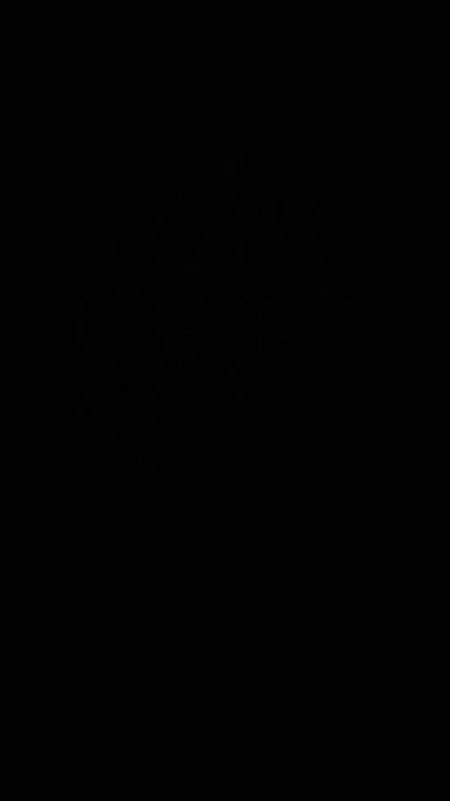 Test EPN 1