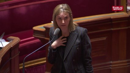 « Je ne me permettrais pas, moi, de rebondir sur les revendications des gilets jaunes qui souhaitent supprimer cette assemblée », ironise Agnès Pannier-Runacher
