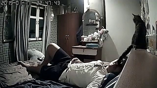 Il installe une caméra chez lui pour voir ce que son chat fait alors qu'il dormait