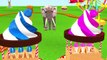 Learn Wild Animals Eats Ice Cream Train Toys In Outdoor Playground - Animals Feeding For Kids | Best Cartoon Movies