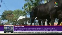 Paraguay alista la 38 Feria Internacional de Ganadería e Industria