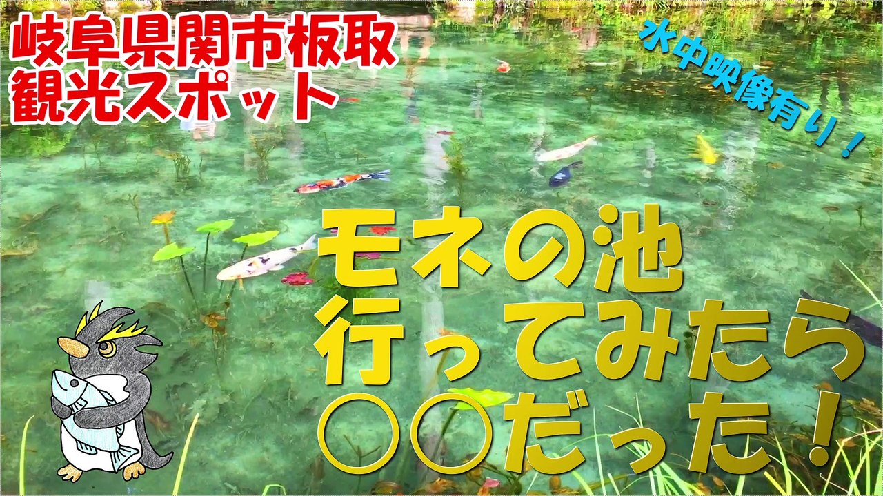 Monet's Pond　モネの池（名もなき池）岐阜県関市板取の観光スポット！