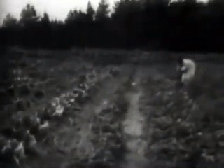 The Negro Farmer (1938)