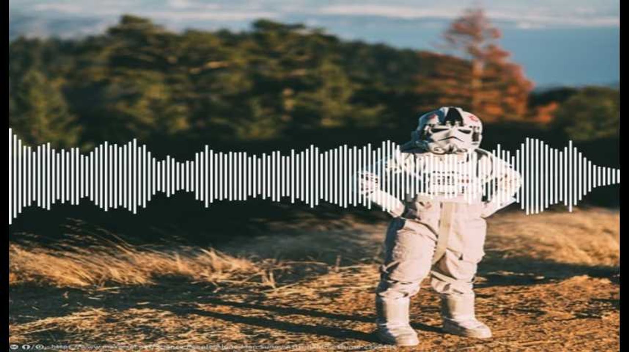 Minute Papillon! Flash soir - 9 avril 2019