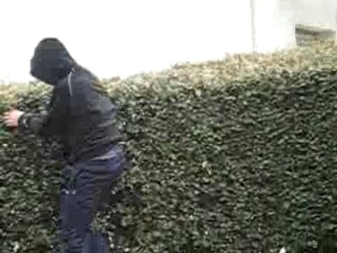 crash velo jackass !!