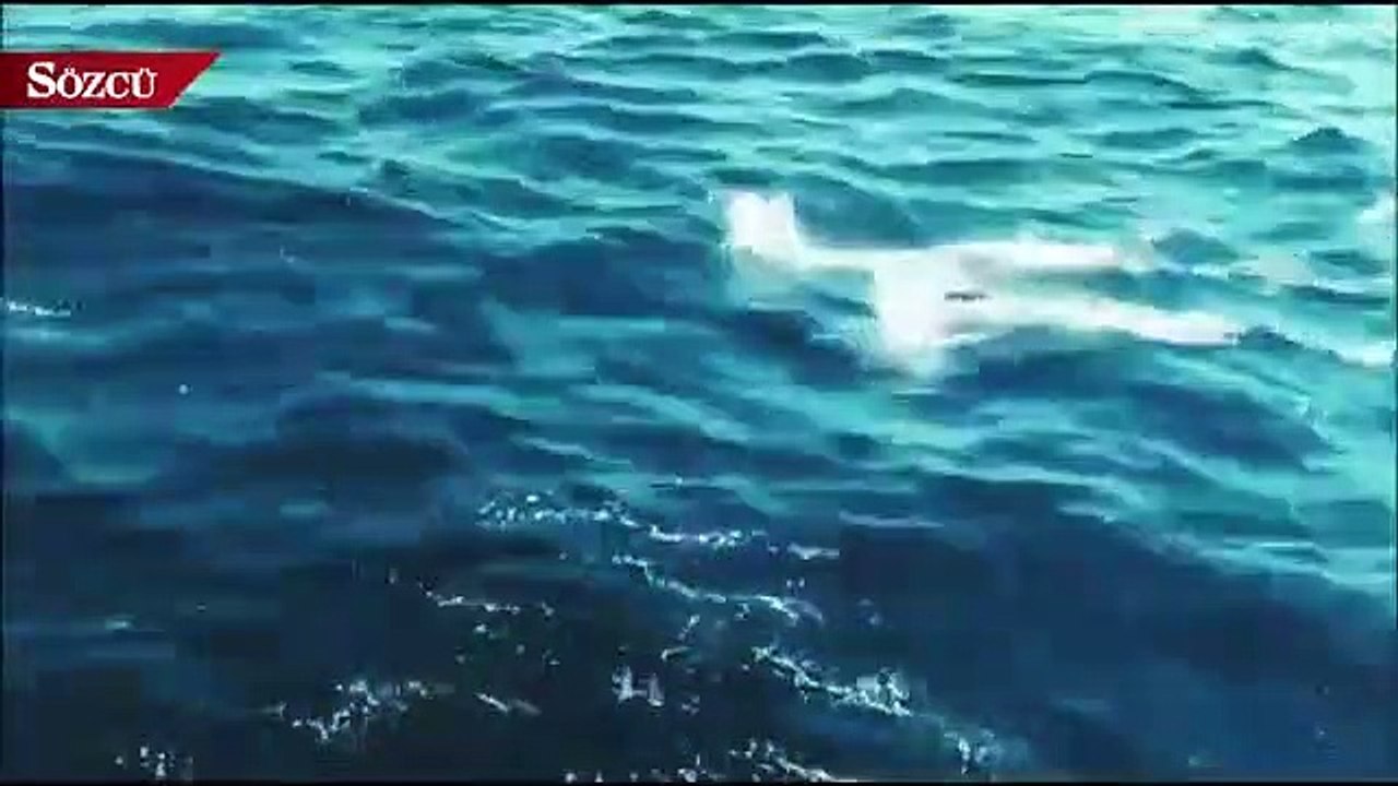 TSK'dan Yunanistan'ın iddiasına videolu yanıt