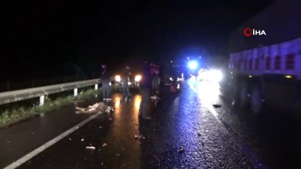 Sürüyü yoldan geçirmeye çalışan çobanın feci ölümü