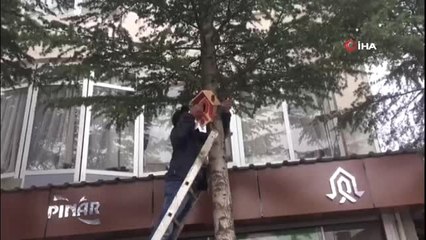 Çukurca'da Kuşlar İçin Ağaçlara 100 Adet Yuva Yerleştirildi
