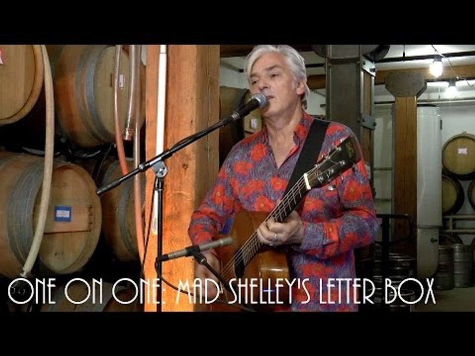 ONE ON ONE: Robyn Hitchcock - Mad Shelley's Letter Box November 7th, 2016 City Winery New York