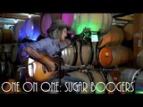ONE ON ONE: Steve Poltz - Sugar Boogers September 30th, 2016 City Winery New York