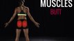 Moves and Muscles: Romanian Deadlift