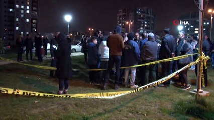 Başkent’te zehirli etlerle köpek katliamı