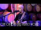 Cellar Sessions: Freedy Johnston - This Perfect World April 29th, 2018 City Winery New York