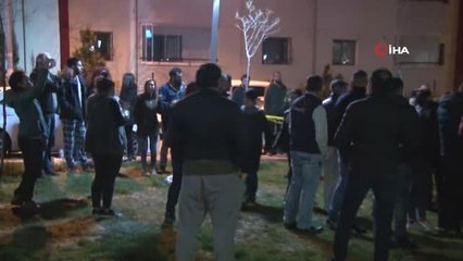 Başkent'te Zehirli Etlerle Köpek Katliamı