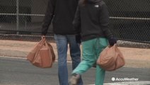 New York State to ban plastic bags; how will it affect the Northeast environment?