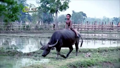 함양출장안마 #R# 후불100%ョØ7Øz5222z78Ø2｛카톡AA654｝함양전지역출장마사지함양출장안마함양출장마사지'출장아가씨후기ョо출장안마'만족도1위출장마사지'후기