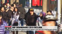 IMF slashes 2019 global economic outlook to 3.3% from 3.5% it had forecast in January