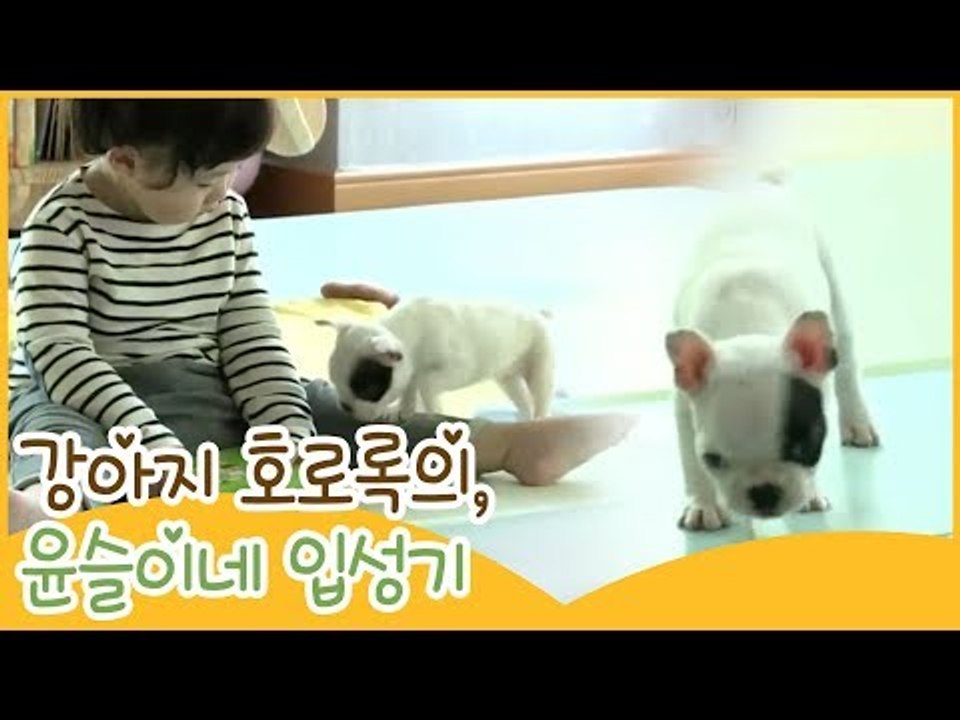 아기 강아지 호로록의 윤슬이네 입성기 [땡큐 베이비 독] 1회