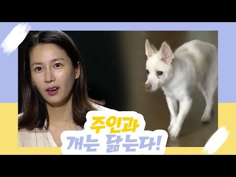 주인과 개는 닮는다, 황인영 [오 마이펫] 1회