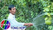 THVL | Nông thôn ngày nay: Nông dân Khmer phát triển sản xuất xây dựng nông thôn mới