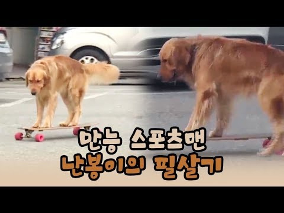 휴게소 인기스타, 스포츠맨 난봉이의 필살기 [윤형빈의 팔도견문록 시즌2] 1회
