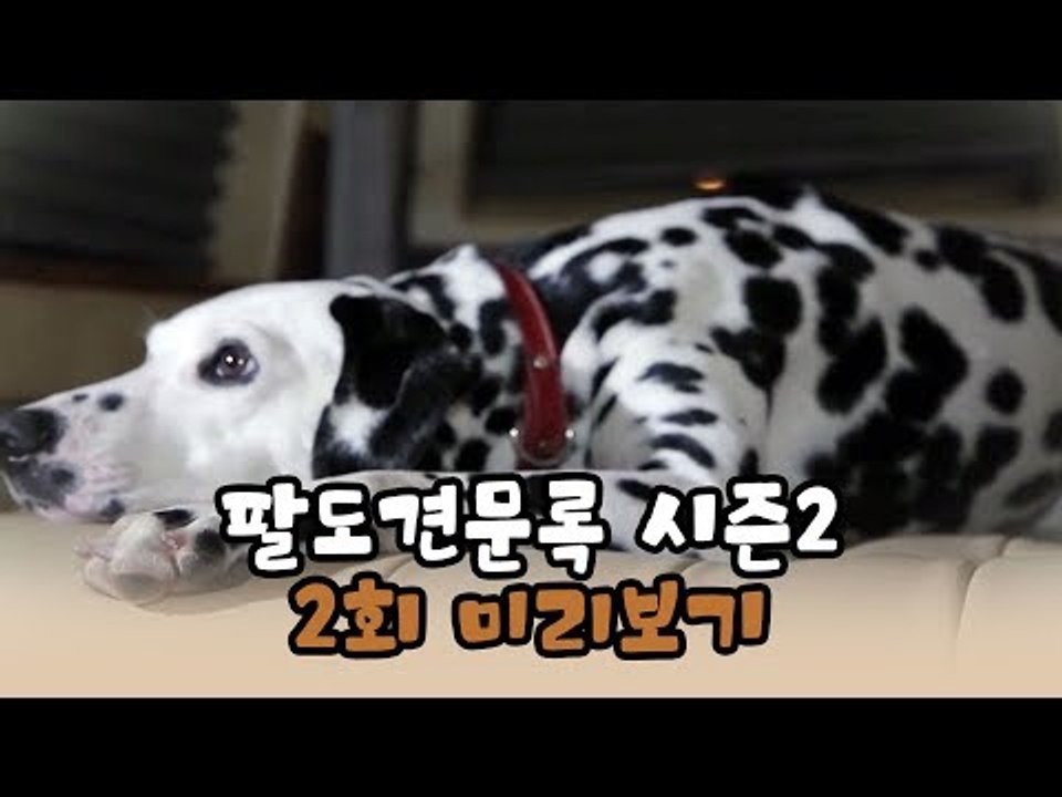 [2회 예고] 윤형빈의 팔도견문록 시즌2, 10월 12일 (월) 밤 11시